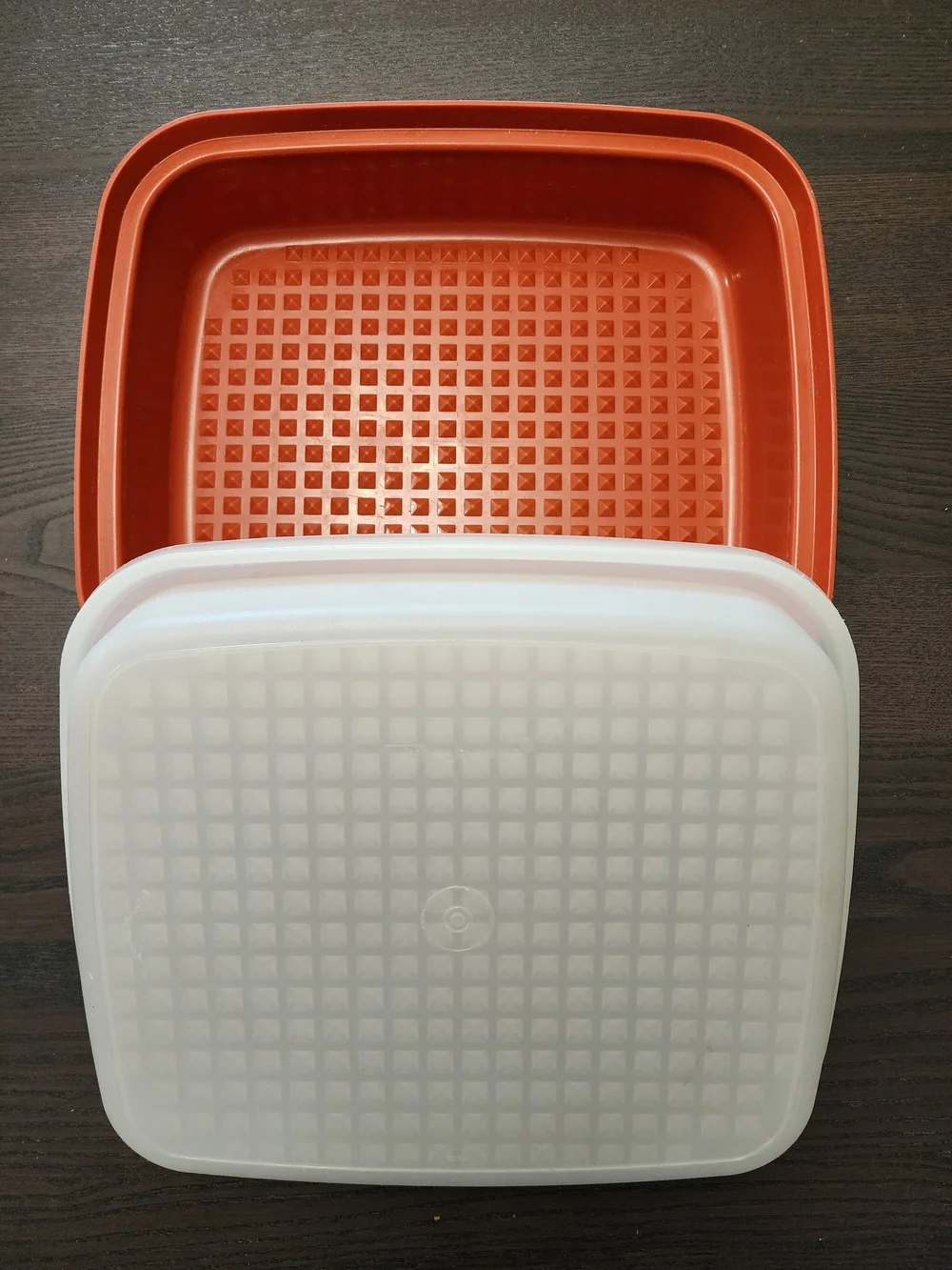Vintage 80s Tupperware Season‎ Serve Marinater Container Keeper Chili Paprika
